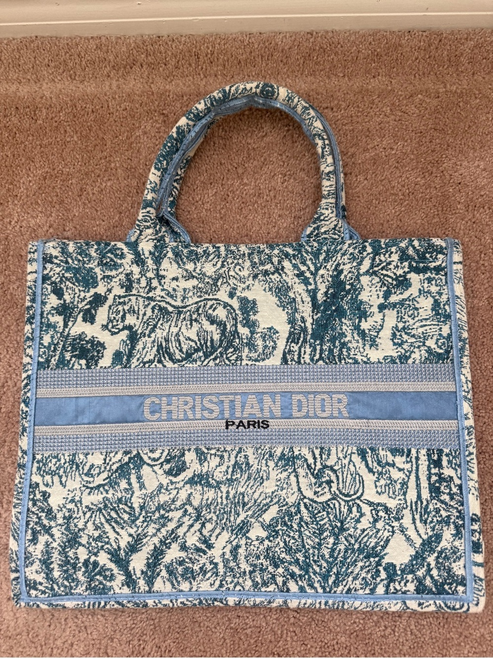 Dior Blue Toile de Jouy Book Tote - Picture 2 of 7